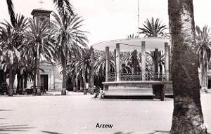 Arzew 307